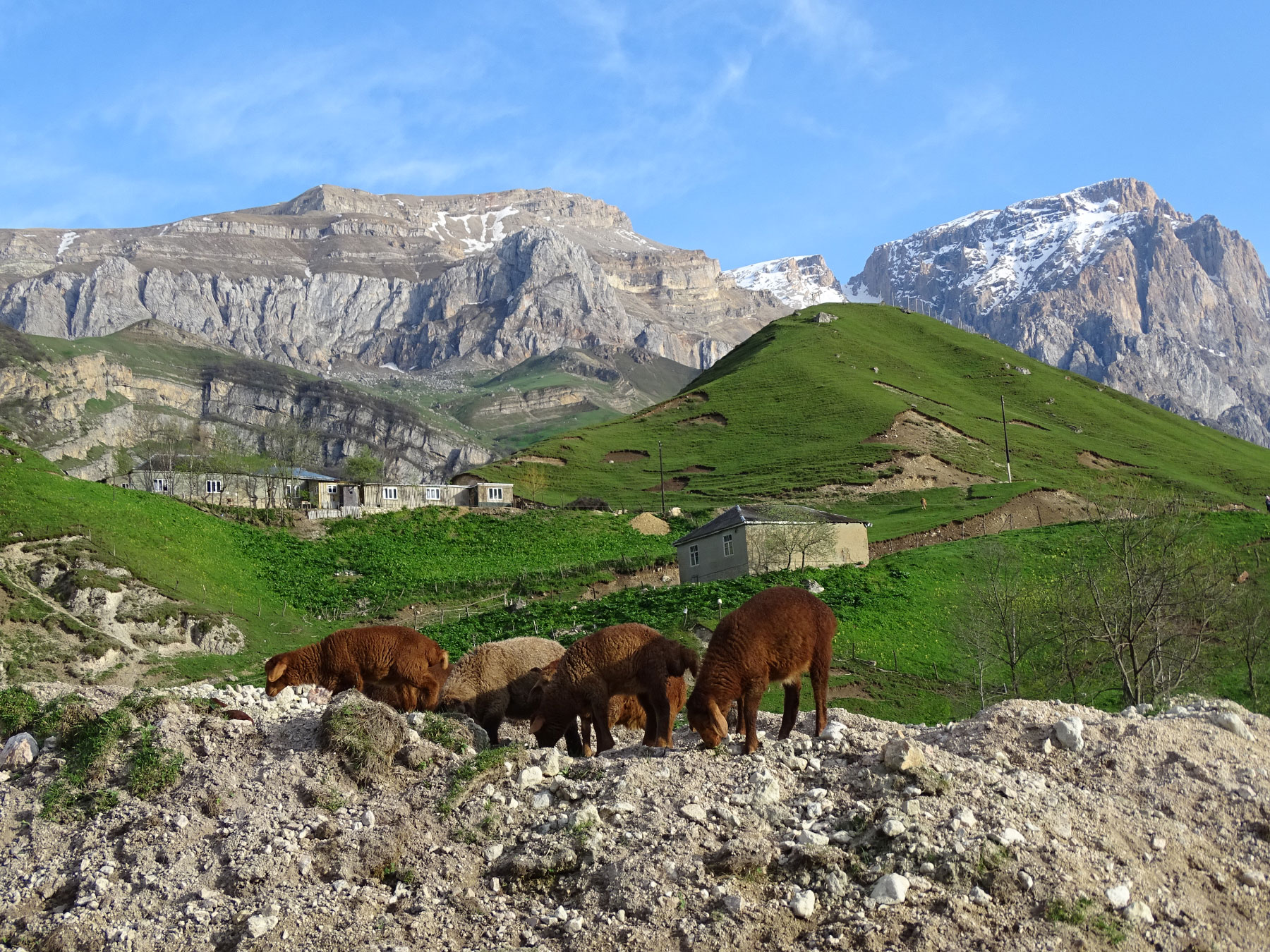 Laza (Photo license: CC BY 2.0)